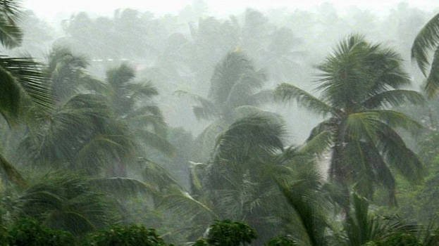 Monsoon.1.230662