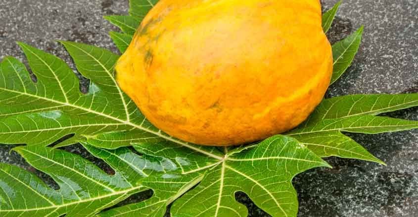 Papaya.jpg.image .845.440