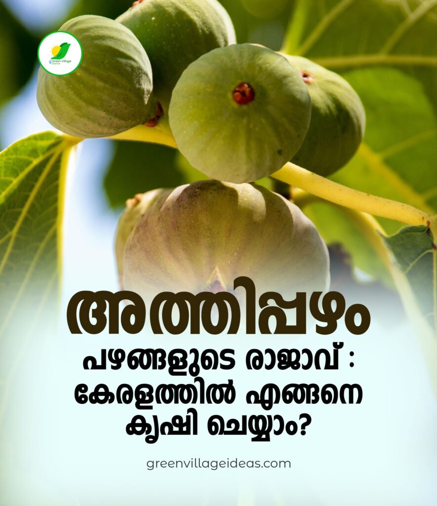 Post 012 885x1024