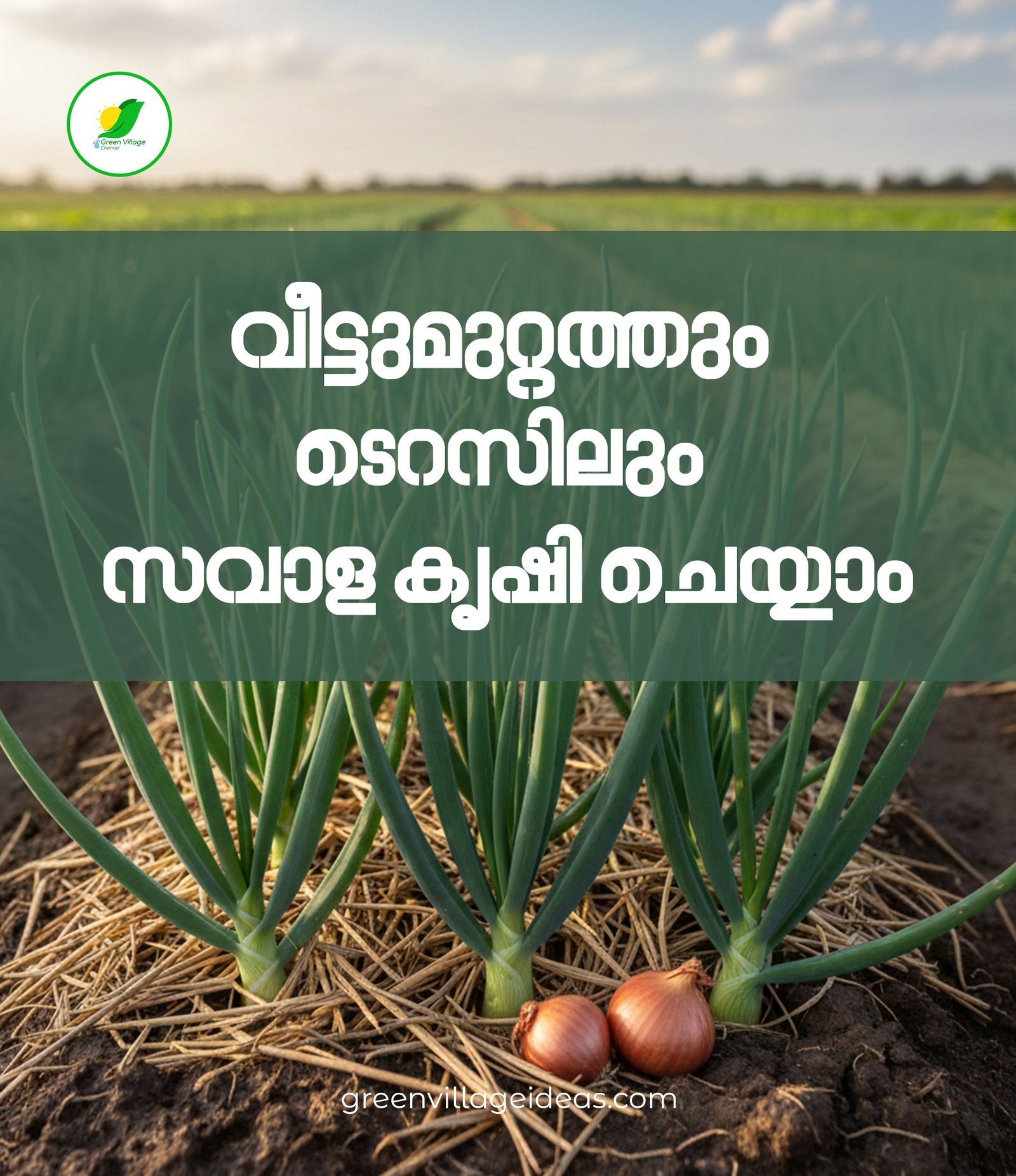 Post 050