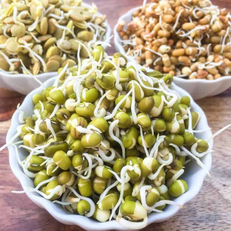 Sprouts 1 768x768