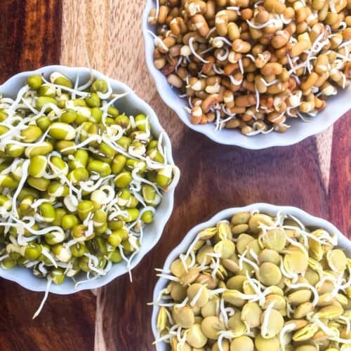 Sprouts 2 500x500