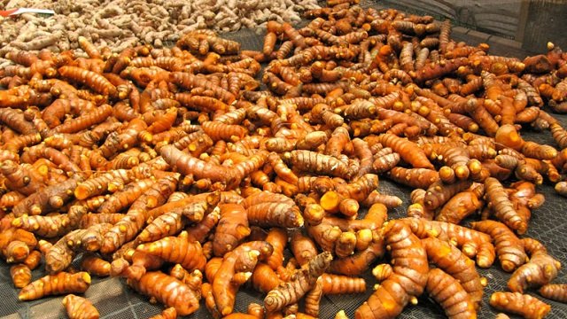Turmeric 1