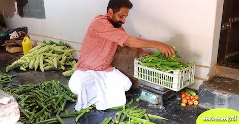 Vegetable Farmer Unnikrishnan 1