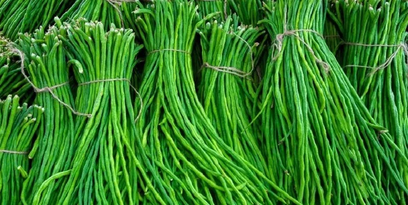 Yard Long Bean1 Jpg