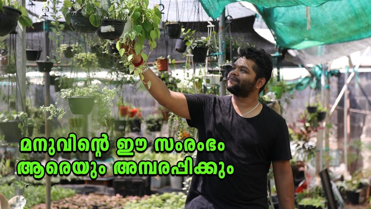 അലങ്കാര ചെടികൾ നിറഞ്ഞിരിക്കുന്ന മനുവിന്റെ ഉദ്യാനത്തിലെ കാഴ്ചകൾ