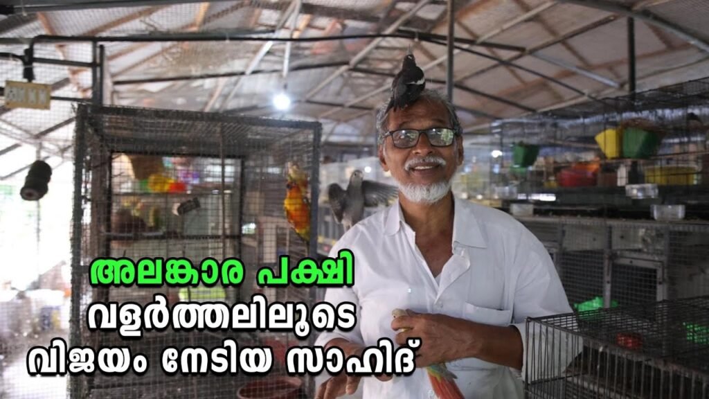 അലങ്കാരപക്ഷി വളർത്തലിലൂടെ മികച്ച വരുമാനം നേടി സാഹിദ്