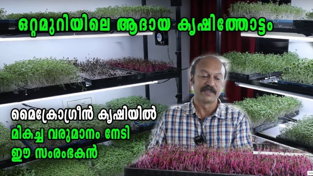 ആരെയും അമ്പരിപ്പിക്കും ഒറ്റ മുറിയിലെ ഈ കൃഷിയിടം!