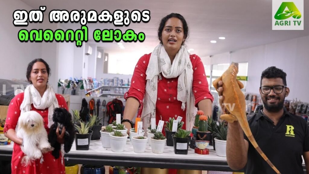 ഇത് പെറ്റ്‌സുകളുടെ മനോഹര ലോകം