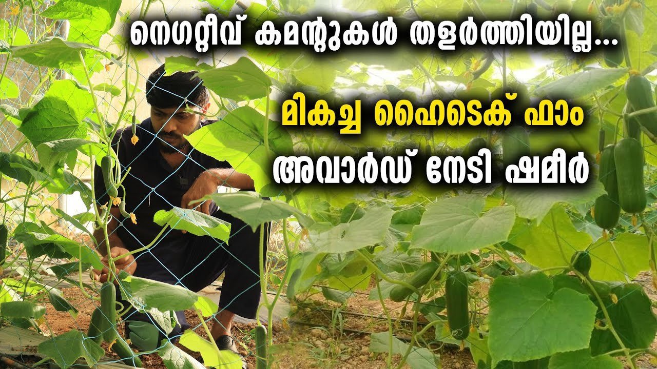ഇസ്രായേൽ മോഡൽ കൃഷി; മികച്ച ഹൈടെക് ഫാം അവാർഡ് നേടി ഷമീർ | israel model cultivation shameer