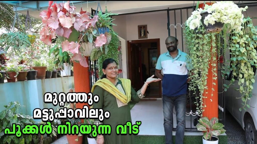 ഈ ചെടി വീട് ആരുടെയും മനം കവരും!