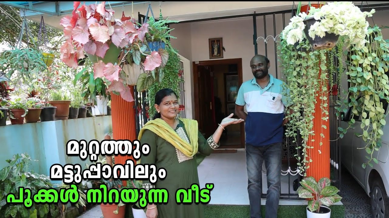 ഈ ചെടി വീട് ആരുടെയും മനം കവരും!