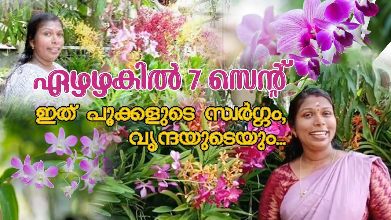 ഏഴഴകിൽ 7 സെന്റ്. ഇത് പൂക്കളുടെ സ്വർഗ്ഗം, വൃന്ദയുടെയും...