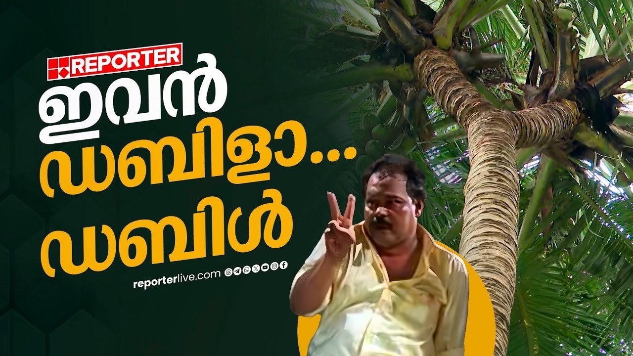 ഒരു ഉടലും രണ്ടു തലയുമുള്ള സയാമീസ് തെങ്ങ് | പാലക്കാടിലെ ഒരു അത്ഭുതം കാണാം | a wonder in palakkad