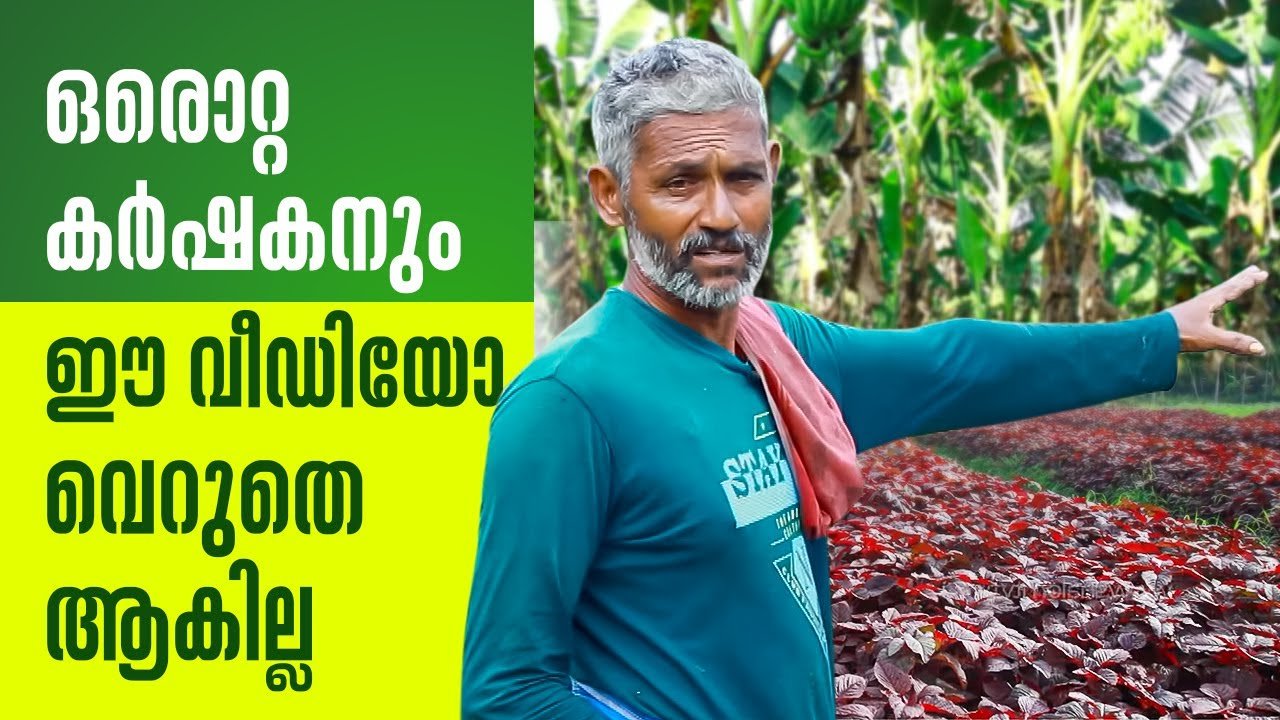 ഒരൊറ്റ കർഷകനും ഈ വീഡിയോ വെറുതെ ആവില്ല | useful video for every farmers