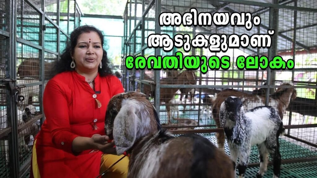 കലയും കൃഷിയും മുന്നോട്ട്, നങ്ങ്യാർകൂത്ത് കലാകാരി രേവതിയുടെ ആടുവളർത്തൽ വിശേഷങ്ങൾ