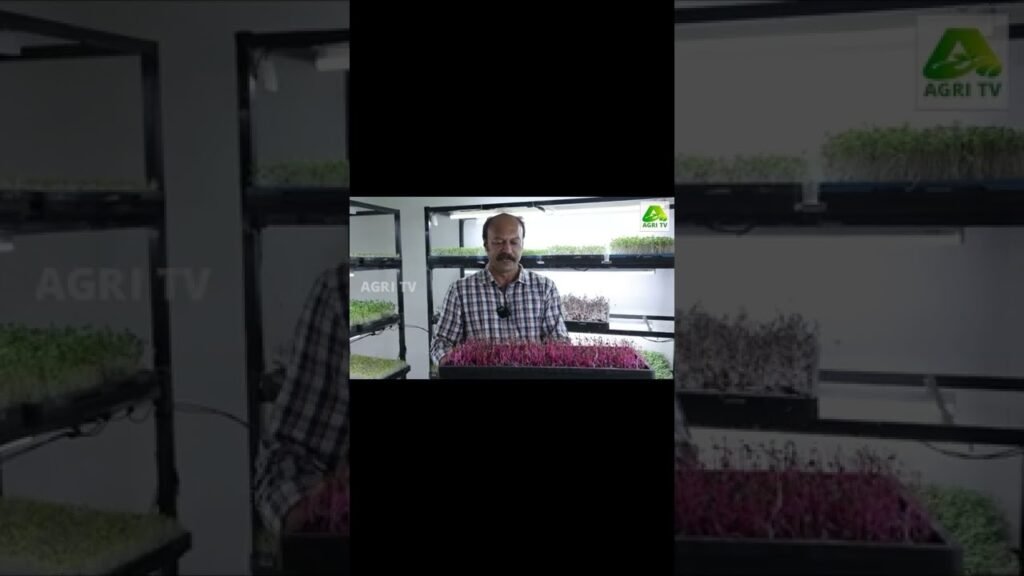 കൂടുതൽ ഗാർഡൻ വിഡിയോകൾ കാണാൻ