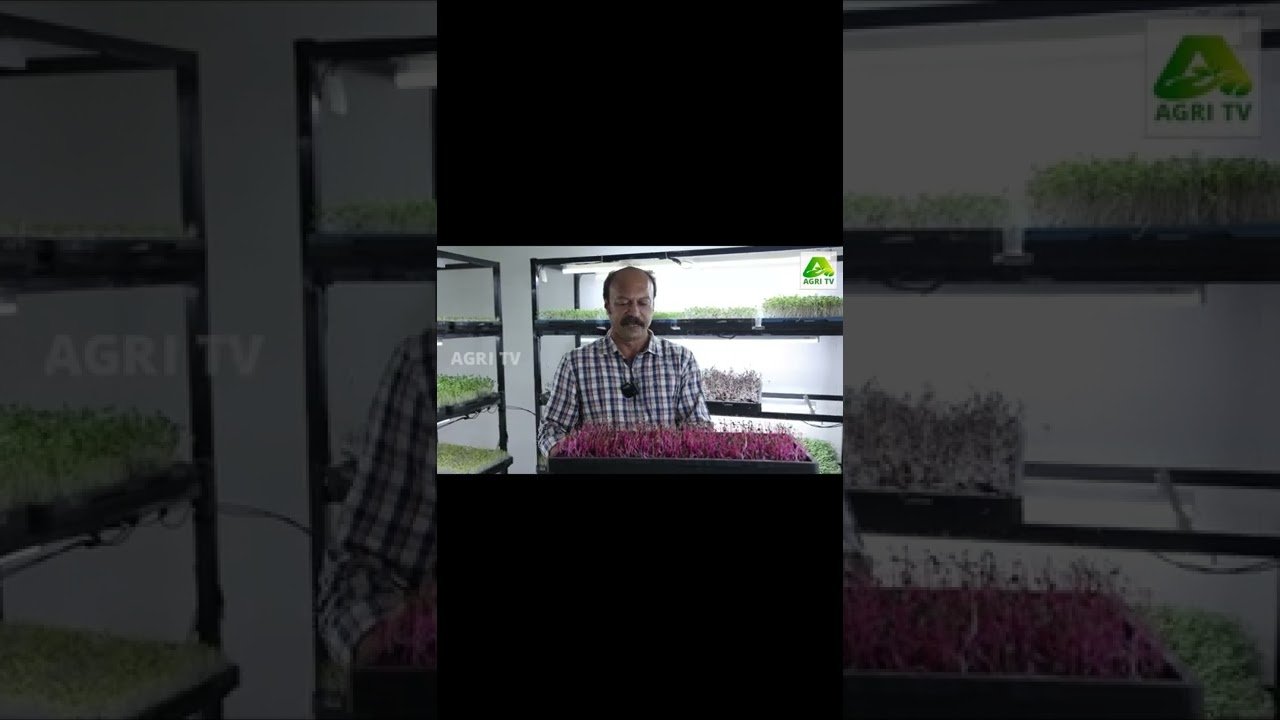 കൂടുതൽ ഗാർഡൻ വിഡിയോകൾ കാണാൻ