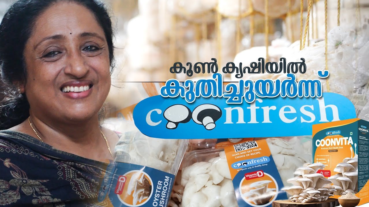 കൂൺകൃഷിയിൽ കുതിച്ചുയർന്ന് കൂൺ ഫ്രഷ് | farm information bureau kerala