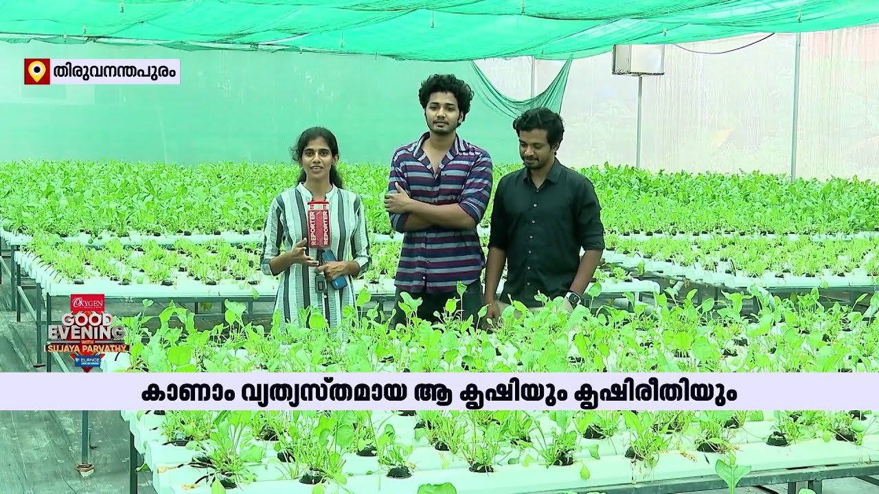 കൃഷി ചെയ്യാൻ മണ്ണ് നിർബന്ധമാണോ?; മണ്ണില്ലാതെ നൂറ് മേനി വിളവെടുത്ത് ഒരു കൂട്ടം യുവാക്കൾ