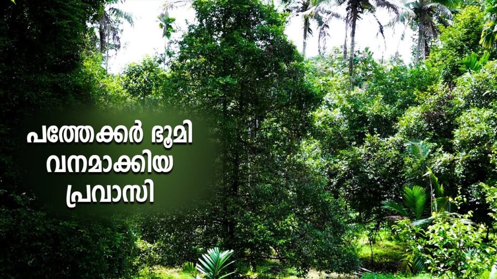കൃഷി ഭൂമി വനഭൂമിയാക്കി മാറ്റിയ പ്രവാസി | farmland to forest