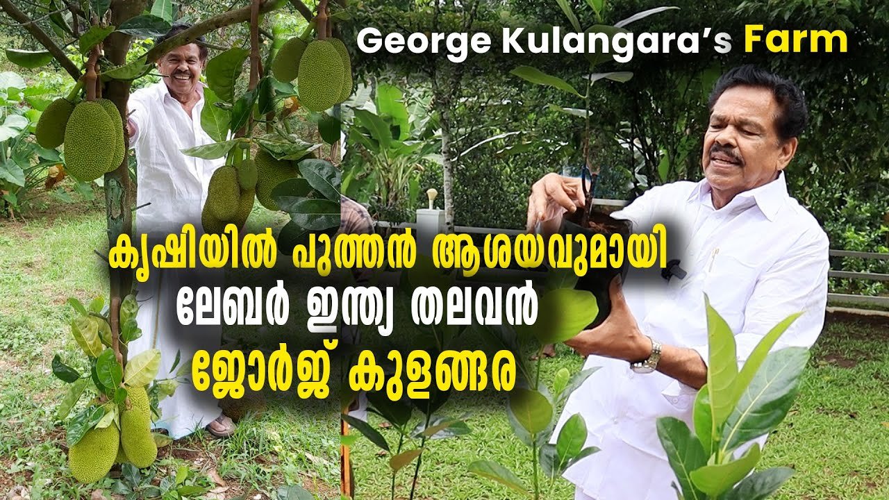 കൃഷിയിൽ പുത്തൻ ആശയവുമായി ലേബർ ഇന്ത്യ തലവൻ ജോർജ് കുളങ്ങര, ഇനി വിലക്കയറ്റം വില്ലനാകില്ല