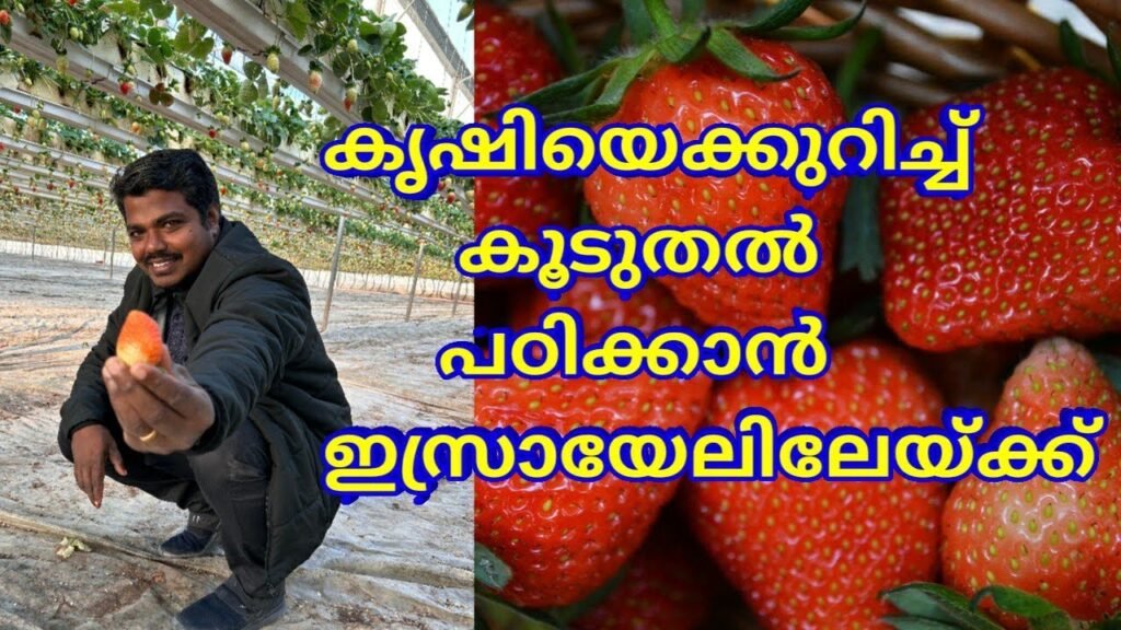 കൃഷിയെക്കുറിച്ച് കൂടുതൽ പഠിക്കാൻ ഇസ്രായേലിലേയ്ക്ക്