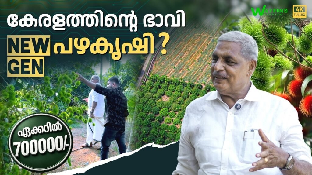 കേരളത്തിൻ്റെ അടുത്ത ഭാവി" പഴകൃഷി ? | fruit farming | ramuttan