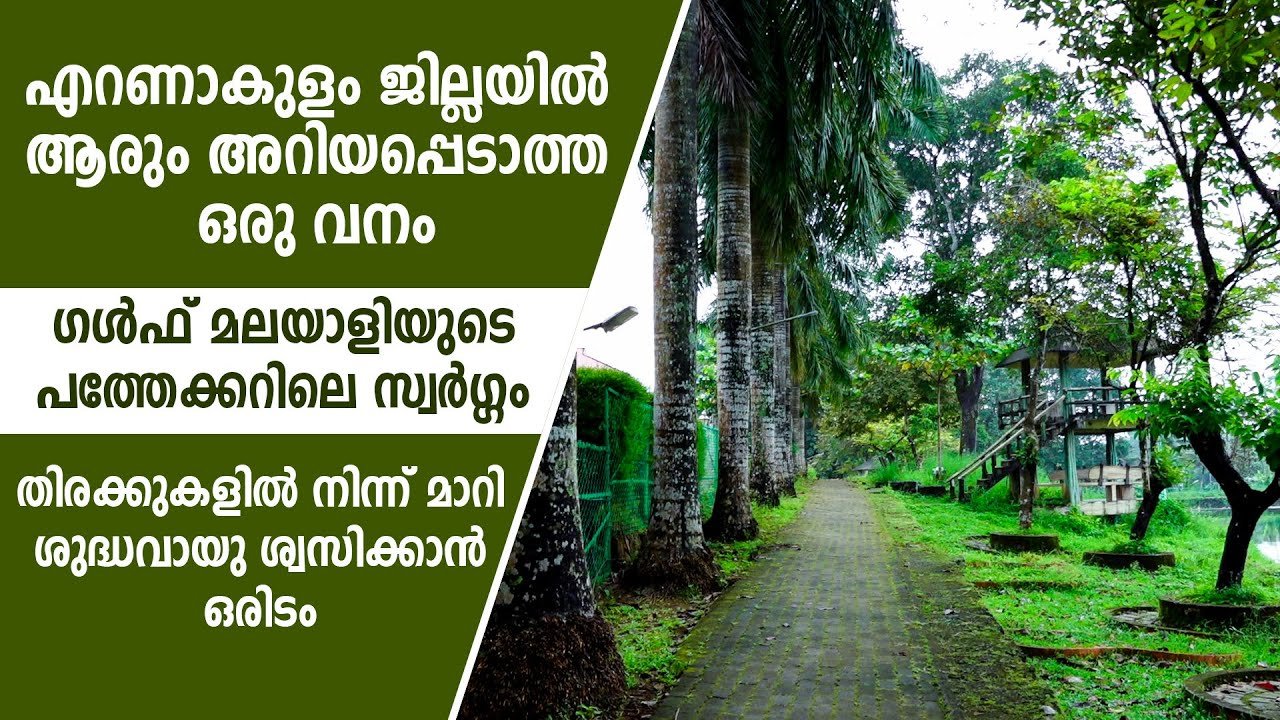ഗൾഫ് മലയാളി തീർത്ത സ്വർഗം | forest being a paradise