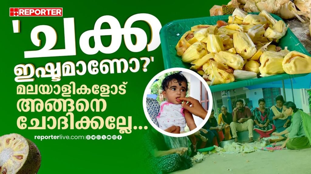 'ചക്ക ഇഷ്ടമാണോ?', മലയാളികളോട് അങ്ങനെ ചോദിക്കല്ലേ... | kannur