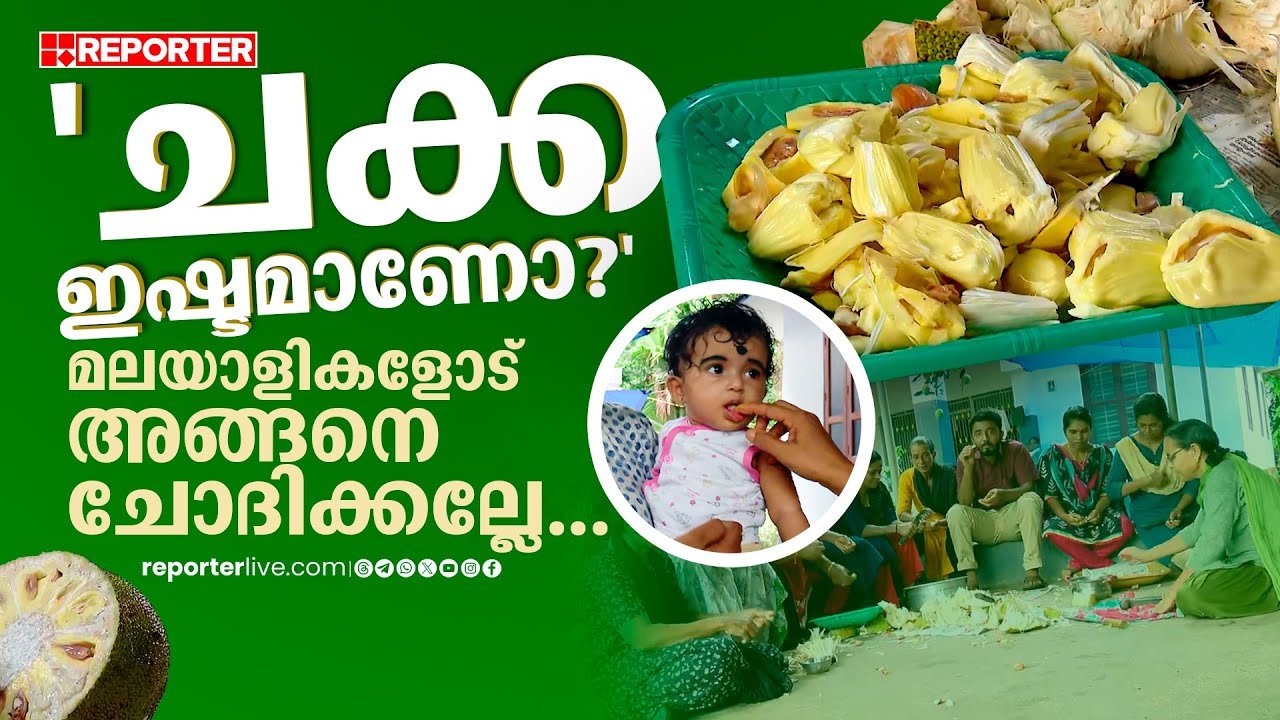 'ചക്ക ഇഷ്ടമാണോ?', മലയാളികളോട് അങ്ങനെ ചോദിക്കല്ലേ... | kannur