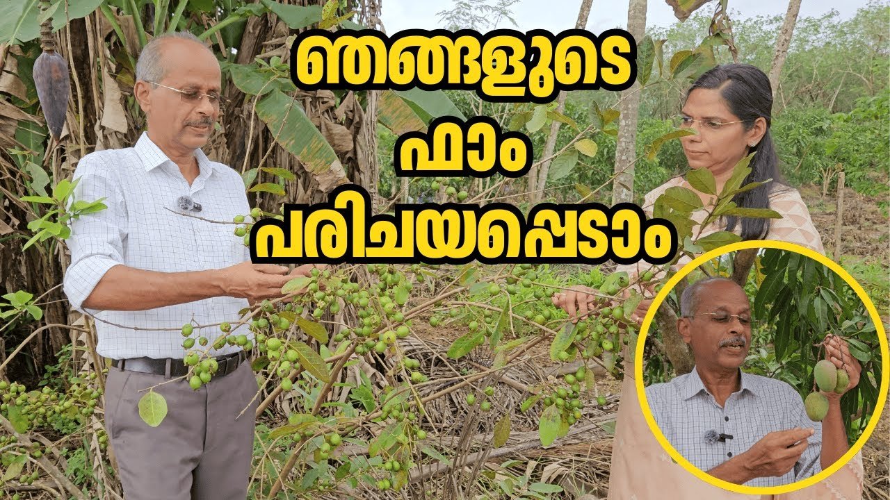 ഞങ്ങളുടെ 'mango hives' ഫാമിലേക്ക് സ്വാഗതം! | farm tour | dr johny thomas