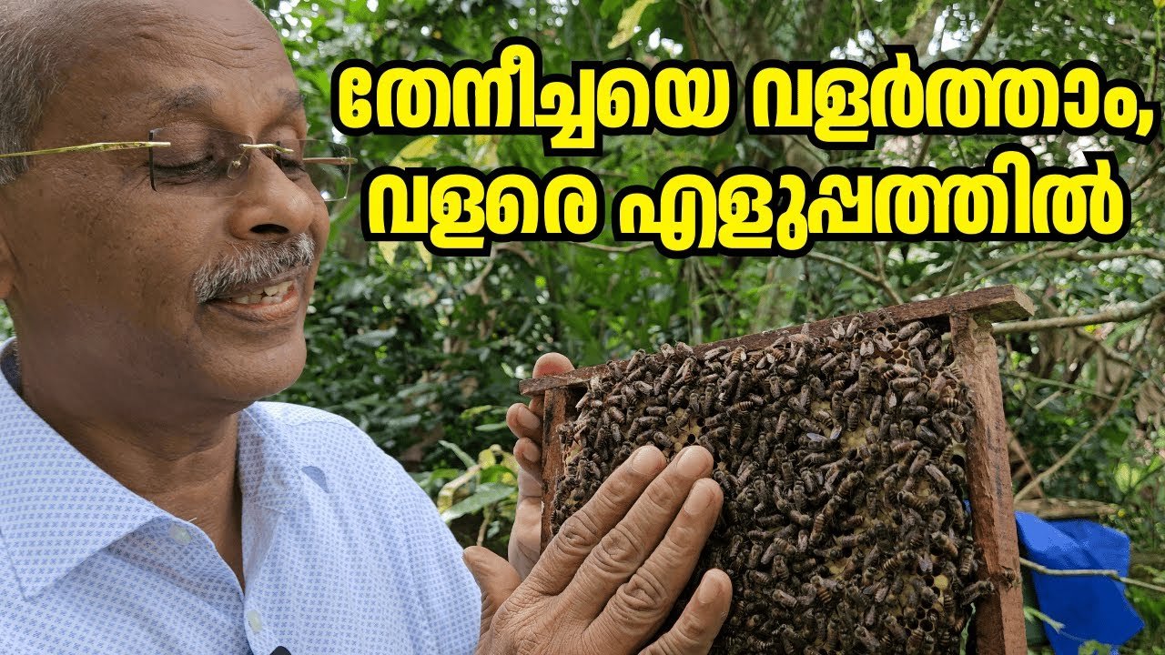 ഞങ്ങളുടെ തേനീച്ചകളെ പരിചയപ്പെടാം | meet our honey makers | dr johny thomas | mango hives