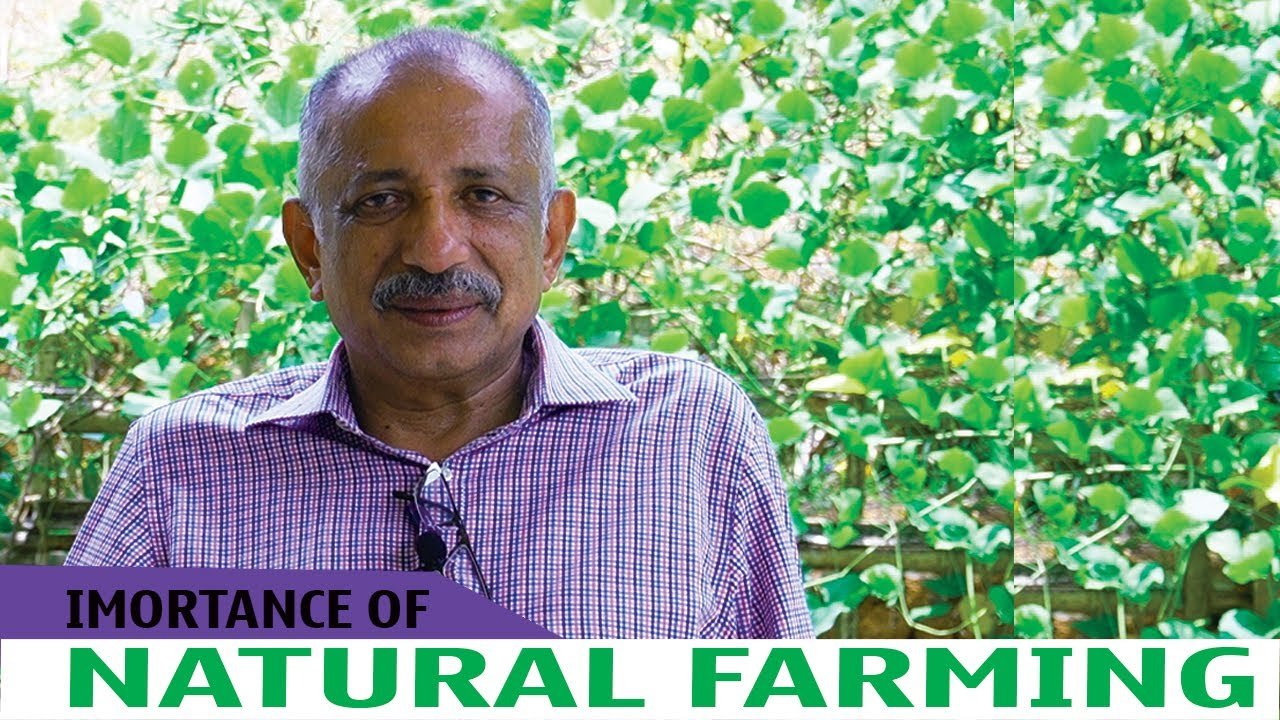 നാച്ചറൽ ഫാമിങ്ങിന്റെ പ്രാധാന്യങ്ങൾ | importance of natural farming