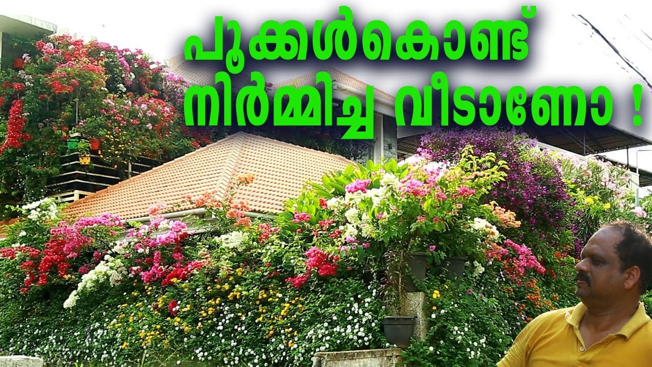 പൂക്കൾകൊണ്ട് നിർമ്മിച്ച ഒരു വീട് !!!