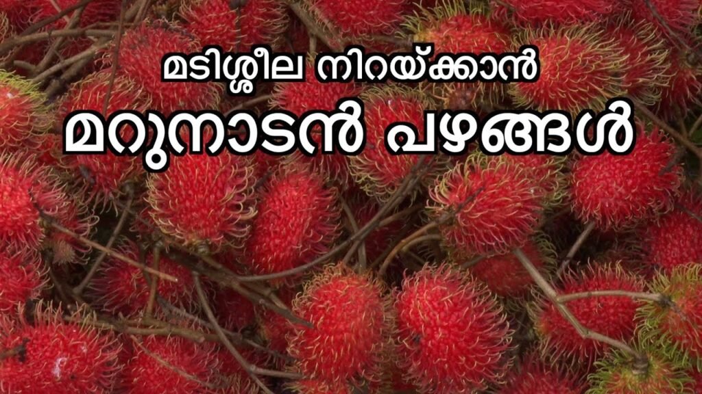 മടിശ്ശീല നിറയ്ക്കാൻ മറുനാടൻ പഴങ്ങൾ. (rambutan, mangosteen, pulasan & litchi)