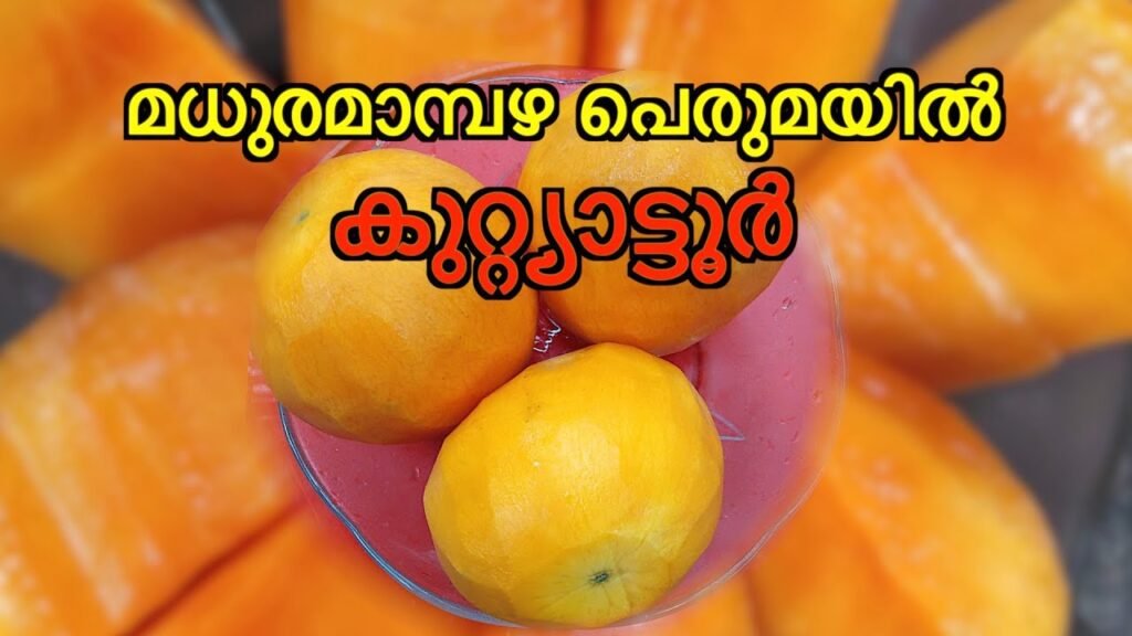 മധുരമാമ്പഴ പെരുമയിൽ കുറ്റ്യാട്ടൂർ farm information bureau kerala
