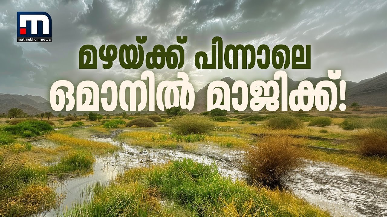 മഴക്ക് പിന്നാലെ ഒമാനിൽ മാജിക്; വിവിധ പ്രദേശങ്ങളിൽ താടാകങ്ങൾ | lakes originates in oman after rain