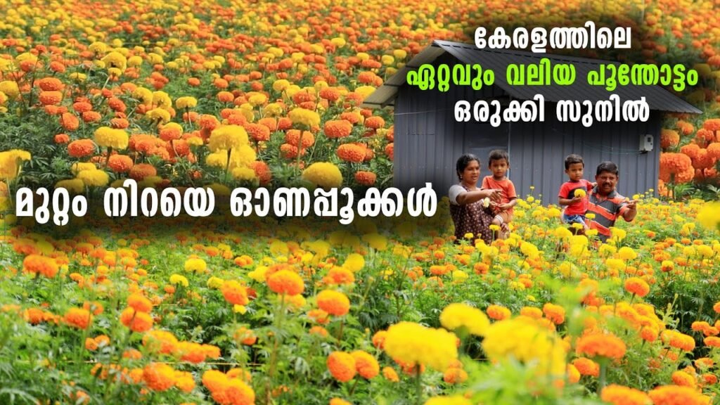 മുറ്റം നിറയെ ഓണപ്പൂക്കൾ | കേരളത്തിലെ ഏറ്റവും വലിയ പൂന്തോട്ടം ഒരുക്കി സുനിൽ | onam | flowers