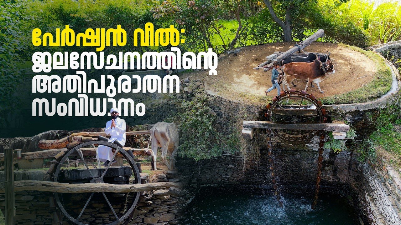 രാജസ്ഥാനിലെ മരുഭൂമിയിൽ ജീവൻ നൽകിയ 'പേർഷ്യൻ വീൽ'; ജലസേചനത്തിന്റെ അതിപുരാതന സാങ്കേതികവിദ്യ!