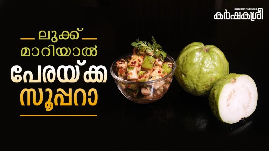 ലുക്ക്‌ മാറിയാൽ പേരക്ക സൂപ്പറാ... | guava