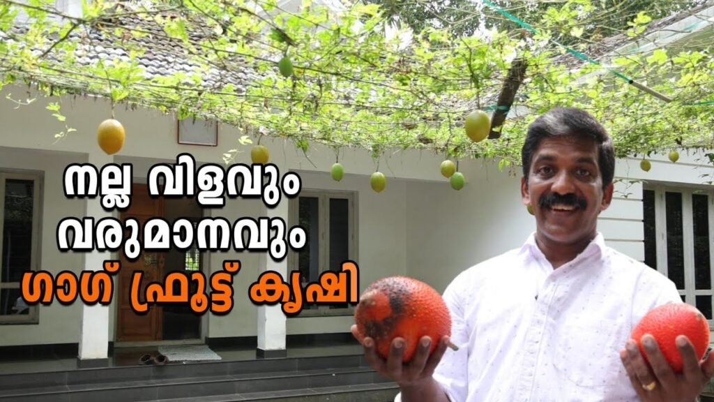 വിയറ്റ്നാമിൽ മാത്രമല്ല പറുദീസയിലെ കനി, ഇവിടെ അങ്കമാലിയിലുമുണ്ട്!
