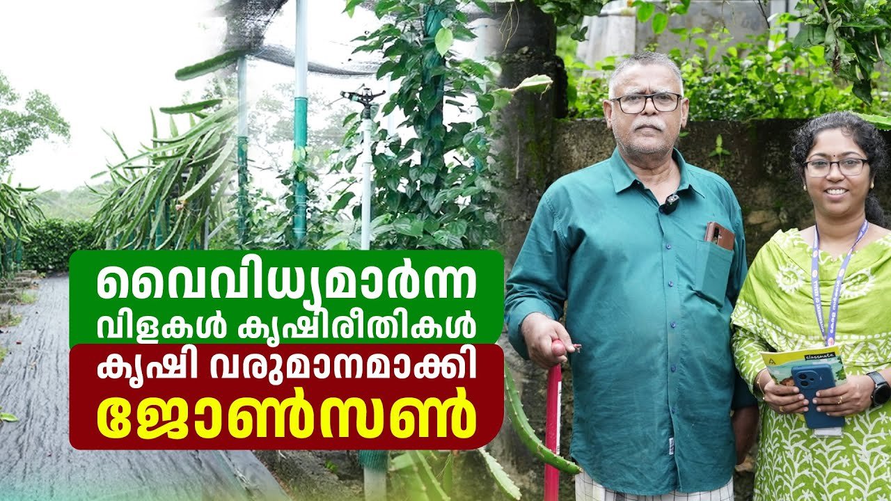 വൈവിധ്യമാർന്ന വിളകൾ കൃഷിരീതികൾ കൃഷി വരുമാനമാക്കി ജോൺസൺ | farm information bureau kerala