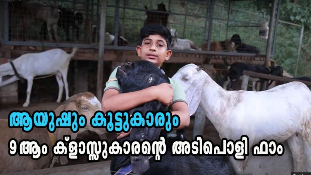 സമ്മിശ്ര കൃഷിയിൽ വിജയം കൊയ്ത് ഒമ്പതാം ക്ലാസുകാരൻ ആയുഷ്