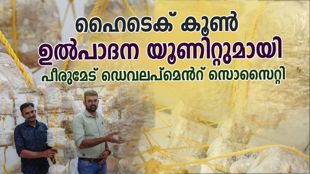 ഹൈടെക് കൂൺ ഉത്പാദന യൂണിറ്റുമായി പീരുമേട് ഡെവലപ്പ്മെന്റ് സൊസൈറ്റി | hightech mushroom unit