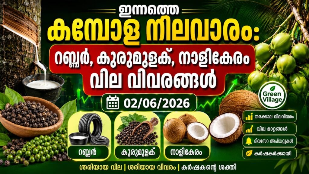 img 20260602 wa0057