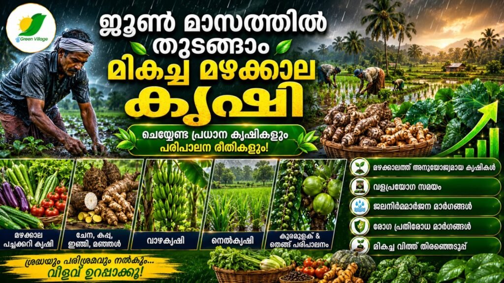 img 20260602 wa0122
