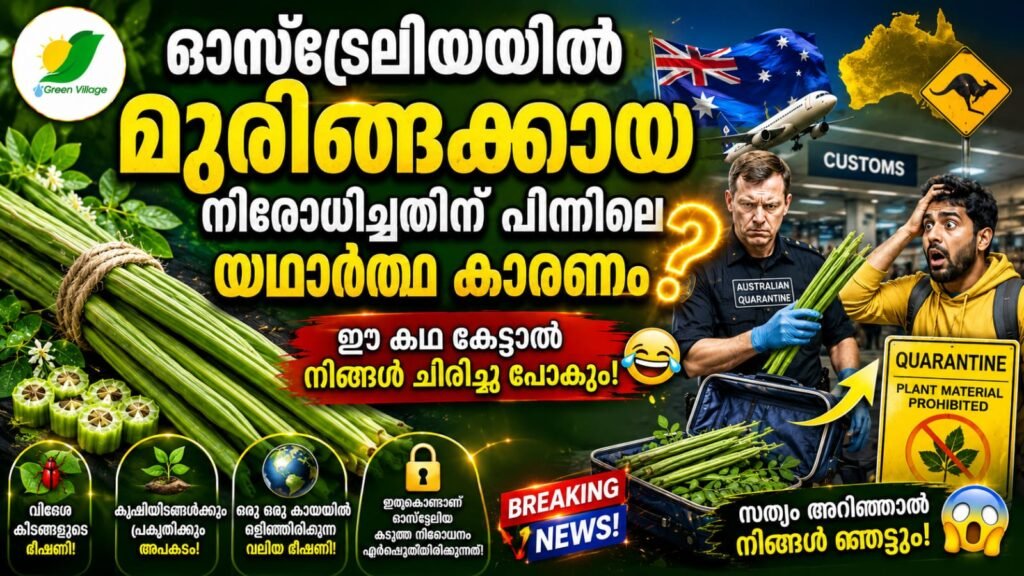 img 20260602 wa0196