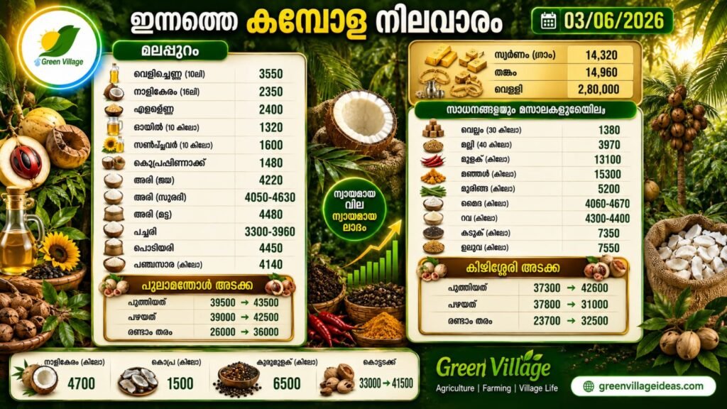 img 20260603 wa0111