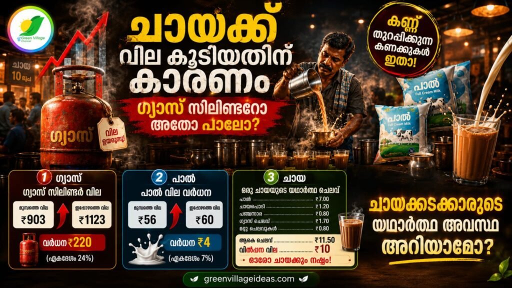 img 20260603 wa0117
